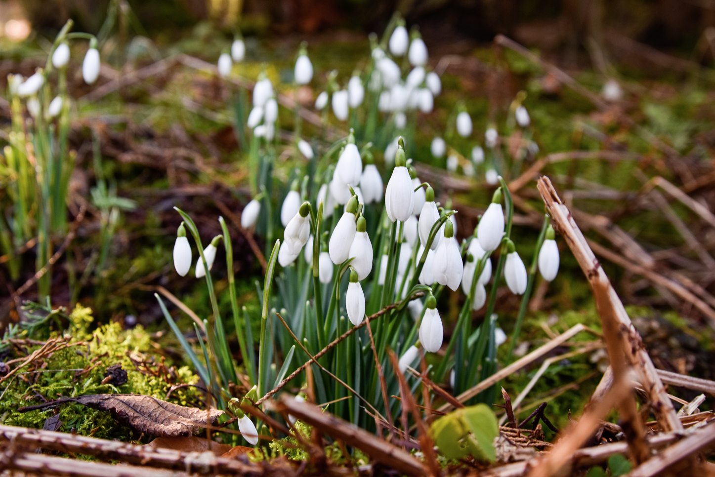 Skärmbild 2026 03 09 144521