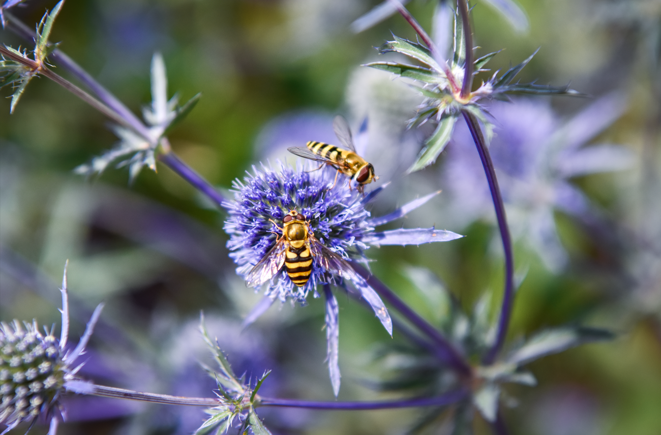 Skärmbild 2026 03 12 192152