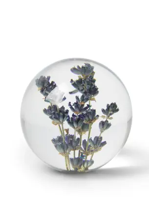Pappersvikt Lavendel