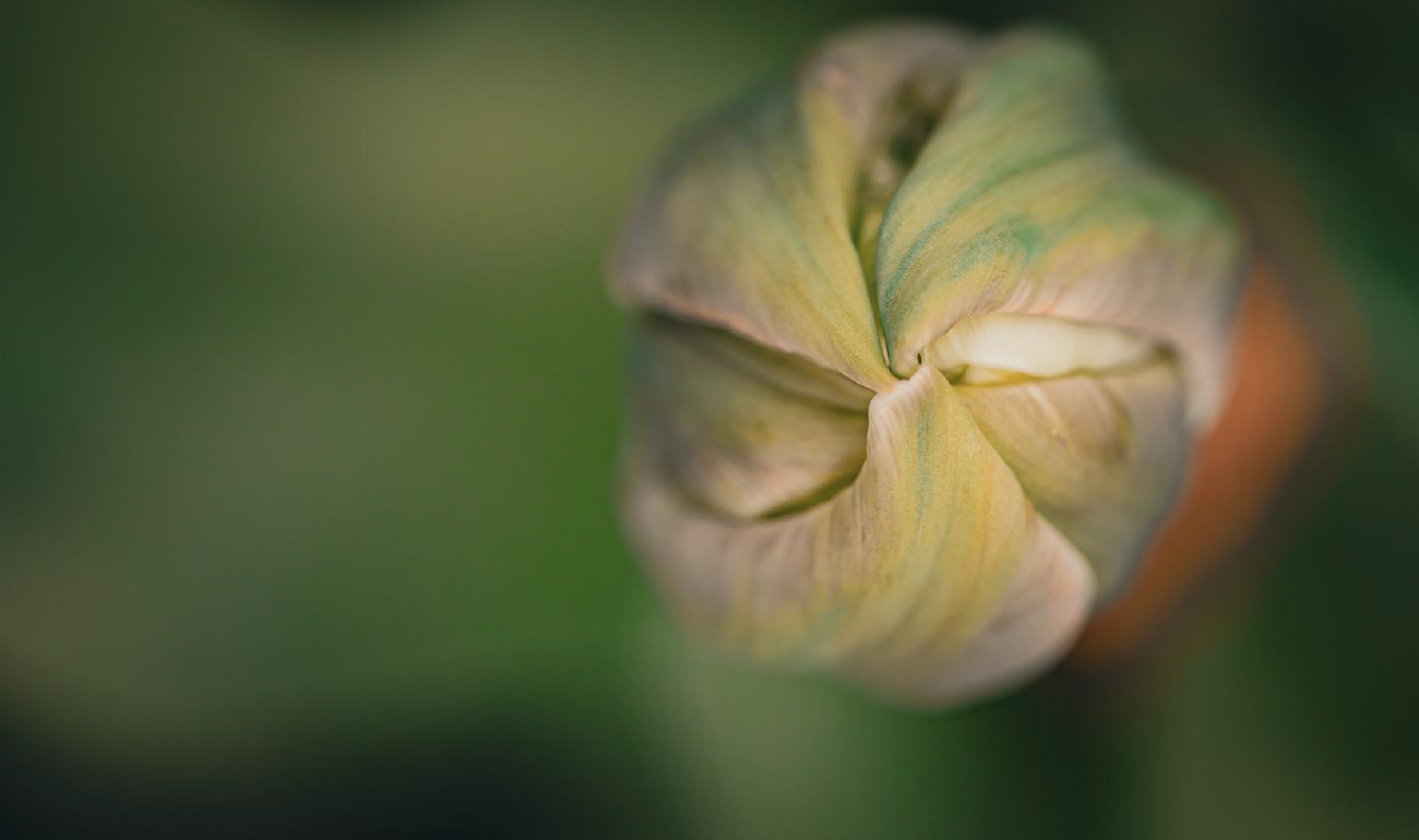 Skärmbild 2026 03 05 161056